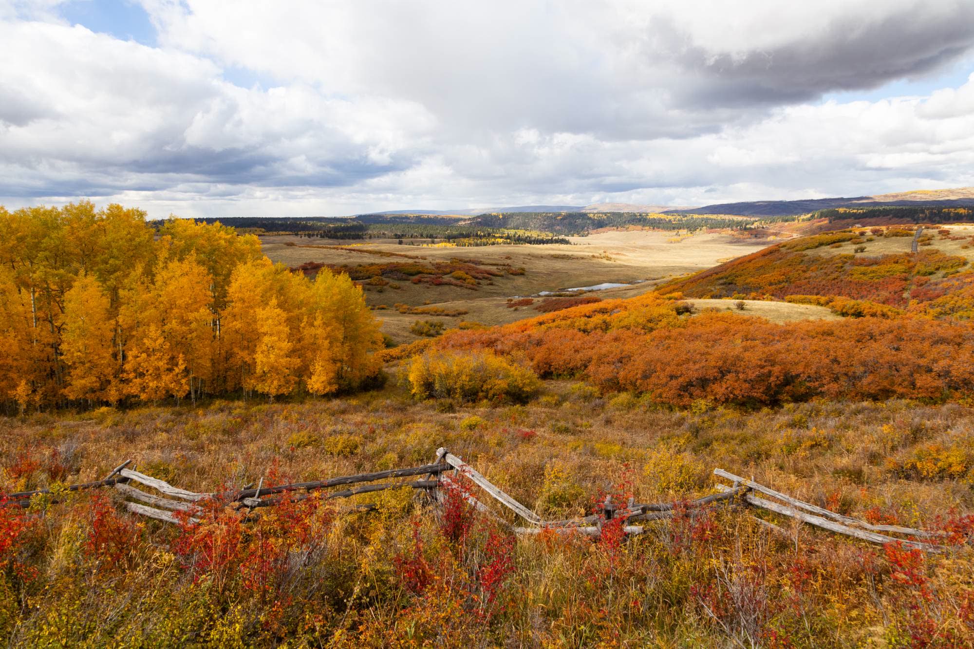 Fall color in the high country