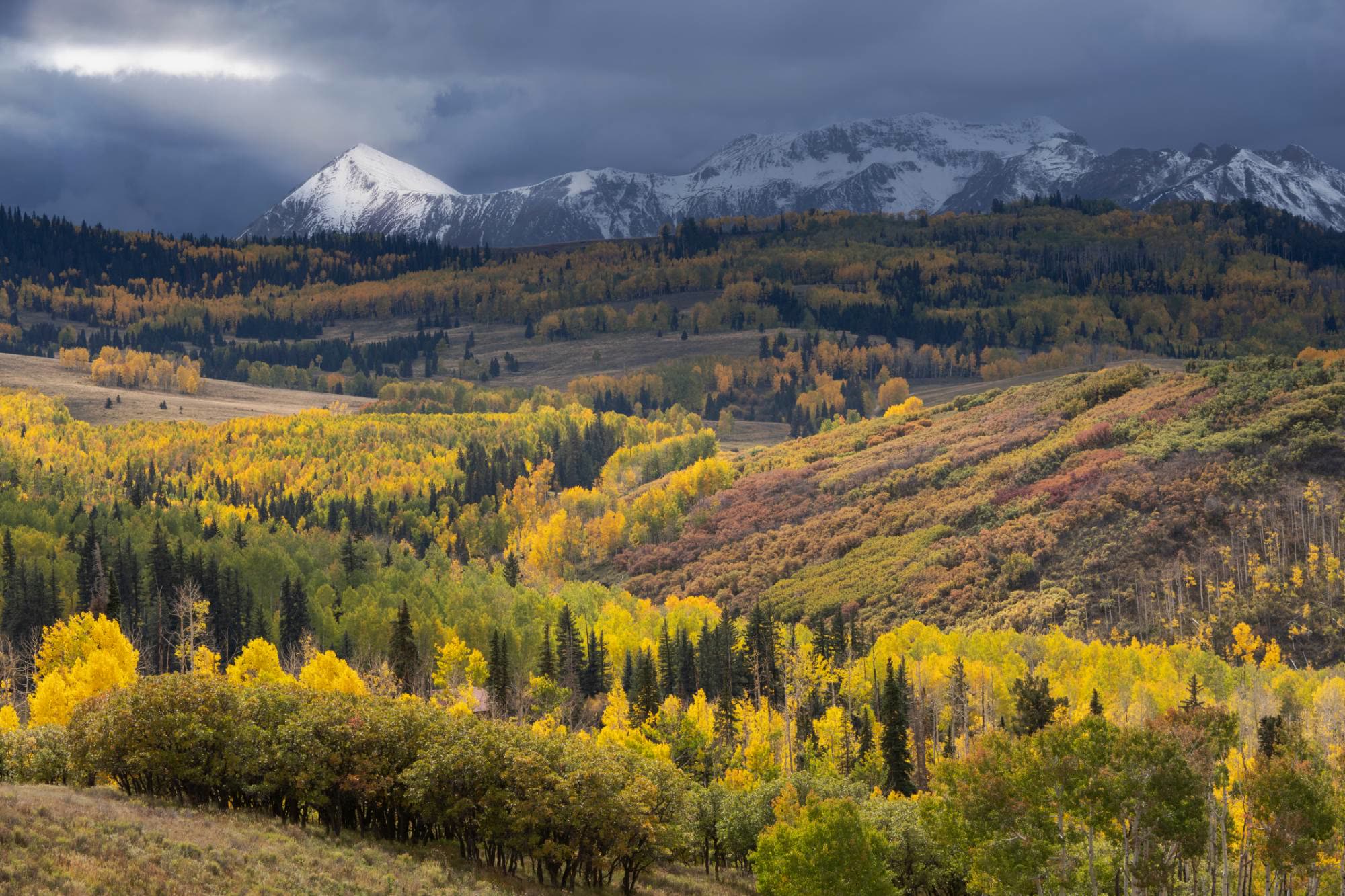 Fresh snow on the San Juan peaks above hillsides of fall aspens