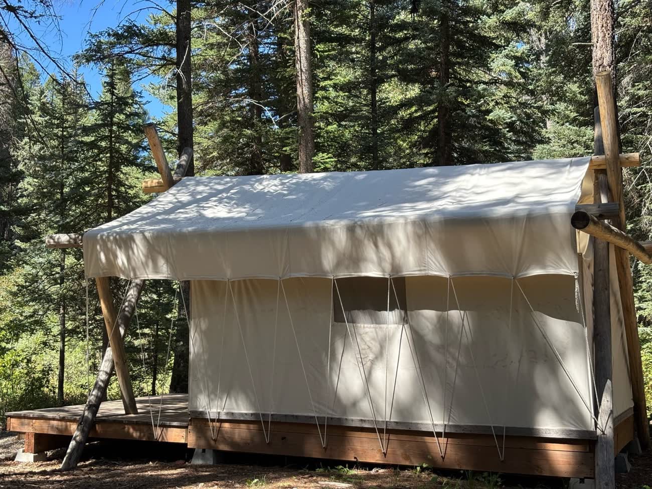 Canvas tent on a platform among pines by the river